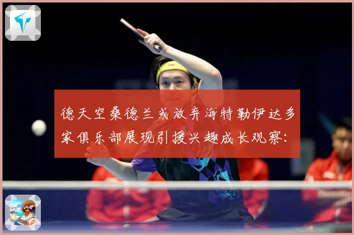 德天空桑德兰或放弃海特勒伊达多家俱乐部展现引援兴趣成长观察：最新赛事动态与深度分析