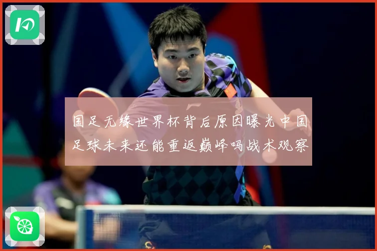 国足无缘世界杯背后原因曝光中国足球未来还能重返巅峰吗战术观察：最新赛事动态与深度分析
