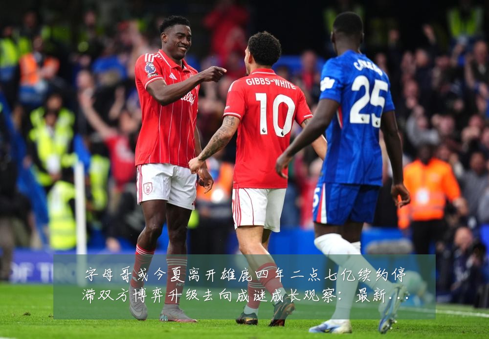 字母哥或今夏离开雄鹿四年二点七亿续约停滞双方博弈升级去向成谜成长观察：最新赛事动态与深度分析